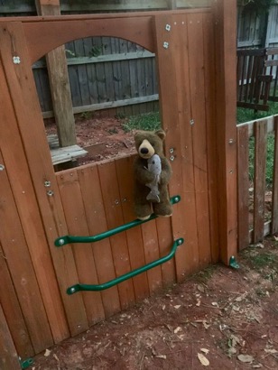 17E104C5-03A0-475D-8169-98A2FC6968EF_1_105_c